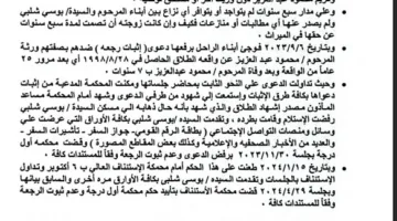 أبناء محمود عبدالعزيز يردون على بوسى شلبى: «لا ميراث ولا رجعة بعد 7 سنوات»