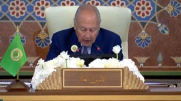 أبو الغيط: استراتيجية إسرائيل في فلسطين وسوريا ولبنان ستؤدي إلى دورات مستمرة من التصعيد في المنطقة.