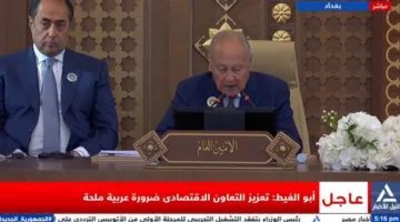 أبو الغيط: دعم التعاون الاقتصادي ضرورة حيوية للعرب