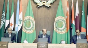 أبو الغيط: ندعو أصدقاء السلام لدعم حل الدولتين