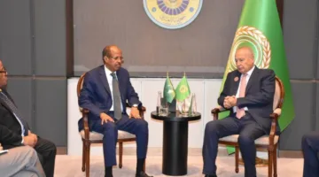 أبو الغيط يلتقي بمفوضية الاتحاد الأفريقي