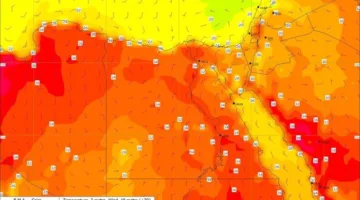 أجواء حارة.. تفاصيل حالة الطقس في مصر اليوم الأربعاء 7 مايو 2025