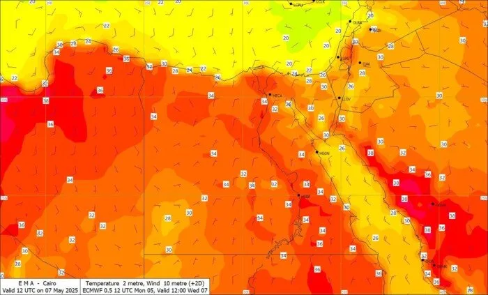 أجواء حارة.. تفاصيل حالة الطقس في مصر اليوم الأربعاء 7 مايو 2025 أجواء حارة.. تفاصيل حالة الطقس في مصر اليوم الأربعاء 7 مايو 2025