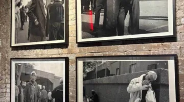أسبوع القاهرة للصورة” يحتفي بياسر علوان في معرض “الديناصور