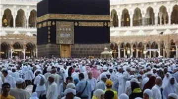 أستاذ بكلية الشريعة يحذر: الطرق الملتوية لأداء الحج مخالفة للشرع