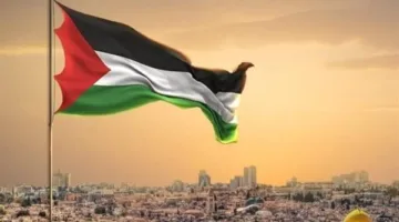 أستاذ قانون دولى يكشف تأثير اعتراف فرنسا والدول الأوربية بفلسطين