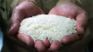 أسعار الأرز والدقيق بالغربية اليوم الأحد 11 مايو 2025