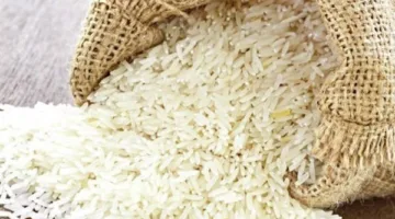 أسعار الأرز والدقيق بالغربية اليوم الخميس 8 مايو 2025
