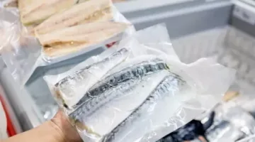 أسعار السمك في الإسماعيلية اليوم، الأربعاء 28 مايو