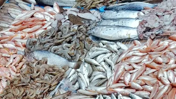 ارتفاع معدل زيارة الأهالي لأسواق الأسماك في الدقهلية اليوم ارتفاع معدل زيارة الأهالي لأسواق الأسماك في الدقهلية اليوم