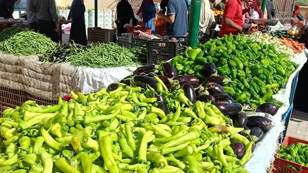 أسعار الخضروات والفاكهة في الوادي الجديد اليوم الأربعاء 7 مايو أسعار الخضروات والفاكهة في الوادي الجديد اليوم الأربعاء 7 مايو