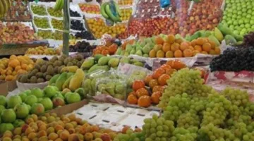 ثبات أسعار الفاكهة في أسواق الإسكندرية اليوم الأحد
