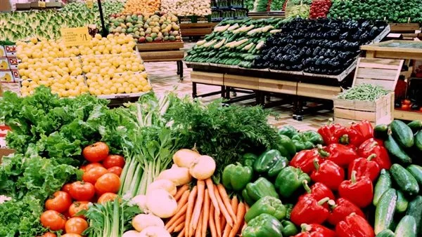 أسعار الفواكه والخضروات في أسواق الوادي الجديد اليوم الاثنين أسعار الفواكه والخضروات في أسواق الوادي الجديد اليوم الاثنين