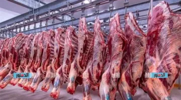 أسعار اللحوم والدواجن والأسماك في أسيوط بتاريخ 22 مايو 2025