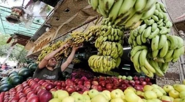 أسواق قنا اليوم.. استقرار نسبي في أسعار الفاكهة