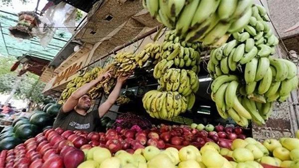 أسواق قنا اليوم.. استقرار نسبي في أسعار الفاكهة أسواق قنا اليوم.. استقرار نسبي في أسعار الفاكهة