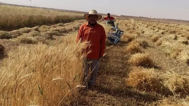 أعطيت الزكاة للفقير ثم اشتريتها منه فهل يجوز؟ دار الإفتاء تجيب أعطيت الزكاة للفقير ثم اشتريتها منه فهل يجوز؟ دار الإفتاء تجيب