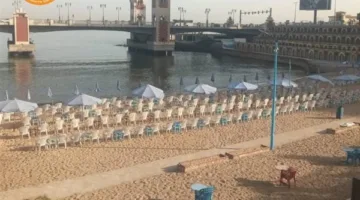 أمواج هادئة.. رفع الراية الخضراء على شواطئ شرق الإسكندرية
هدوء الأمواج.. رفع الراية الخضراء على سواحل شرق الإسكندرية