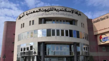 “أموك” تربح 1.1 مليار جنيه في الربع الأول بنمو 5%