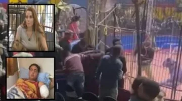 أنوسة كوته تكشف في تحقيقات قضية عامل السيرك: عائلتي تتخصص في تدريب النمور ولدينا أسود نستوردها من جنوب إفريقيا.