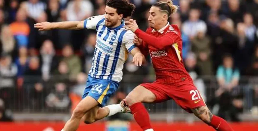 نتائج مباراة ليفربول وبرايتون في الدوري الإنجليزي.. عياري يحقق التعادل نتائج مباراة ليفربول وبرايتون في الدوري الإنجليزي.. عياري يحقق التعادل