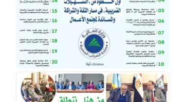 إبراهيم سرحان: كل الدعم لتطبيق حزمة «التسهيلات الضريبية» وفقًا لأفضل المعايير التكنولوجية
