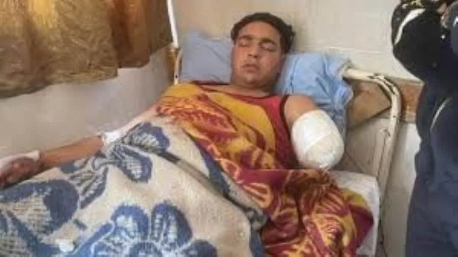 إحالة "مدربة الأسود" للمحاكمة في واقعة سيرك طنطا إحالة "مدربة الأسود" للمحاكمة في واقعة سيرك طنطا