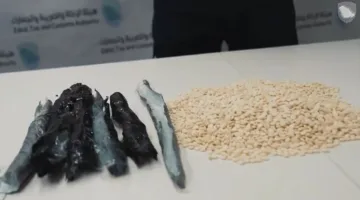 إحباط خمس محاولات لتهريب أكثر من 240 ألف حبة من مادة “الإمفيتامين” مخبأة داخل شاحنات