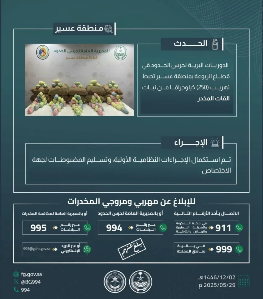 إحباط محاولة تهريب (250) كجم من القات في الربوعة إحباط محاولة تهريب (250) كجم من القات في الربوعة