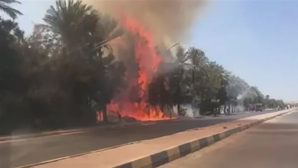 إخماد حريق في منطقة شاطئية بكورنيش حدائق حلوان إخماد حريق في منطقة شاطئية بكورنيش حدائق حلوان