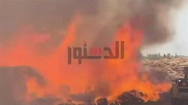 إخماد حريق نشب في لوحات الكهرباء بعمارة المريوطية عبر ثلاثة طوابق إخماد حريق نشب في لوحات الكهرباء بعمارة المريوطية عبر ثلاثة طوابق
