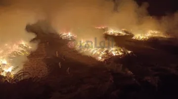 إصابة 6 أشخاص في حريق شونة كتان بالغربية.. والدفع بـ سيارات مياه و8 لوادر للسيطرة