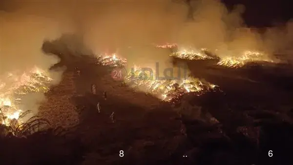 إصابة 6 أشخاص في حريق شونة كتان بالغربية.. والدفع بـ سيارات مياه و8 لوادر للسيطرة إصابة 6 أشخاص في حريق شونة كتان بالغربية.. والدفع بـ سيارات مياه و8 لوادر للسيطرة