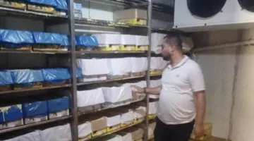 إغلاق مدرسة غير مصرح بها تروج لمنتجات زبدة بلدية مغشوشة خلال حملة في الجيزة