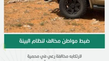 إلقاء القبض على مواطن خالف قواعد البيئة بالرعي في منطقة ممنوعة