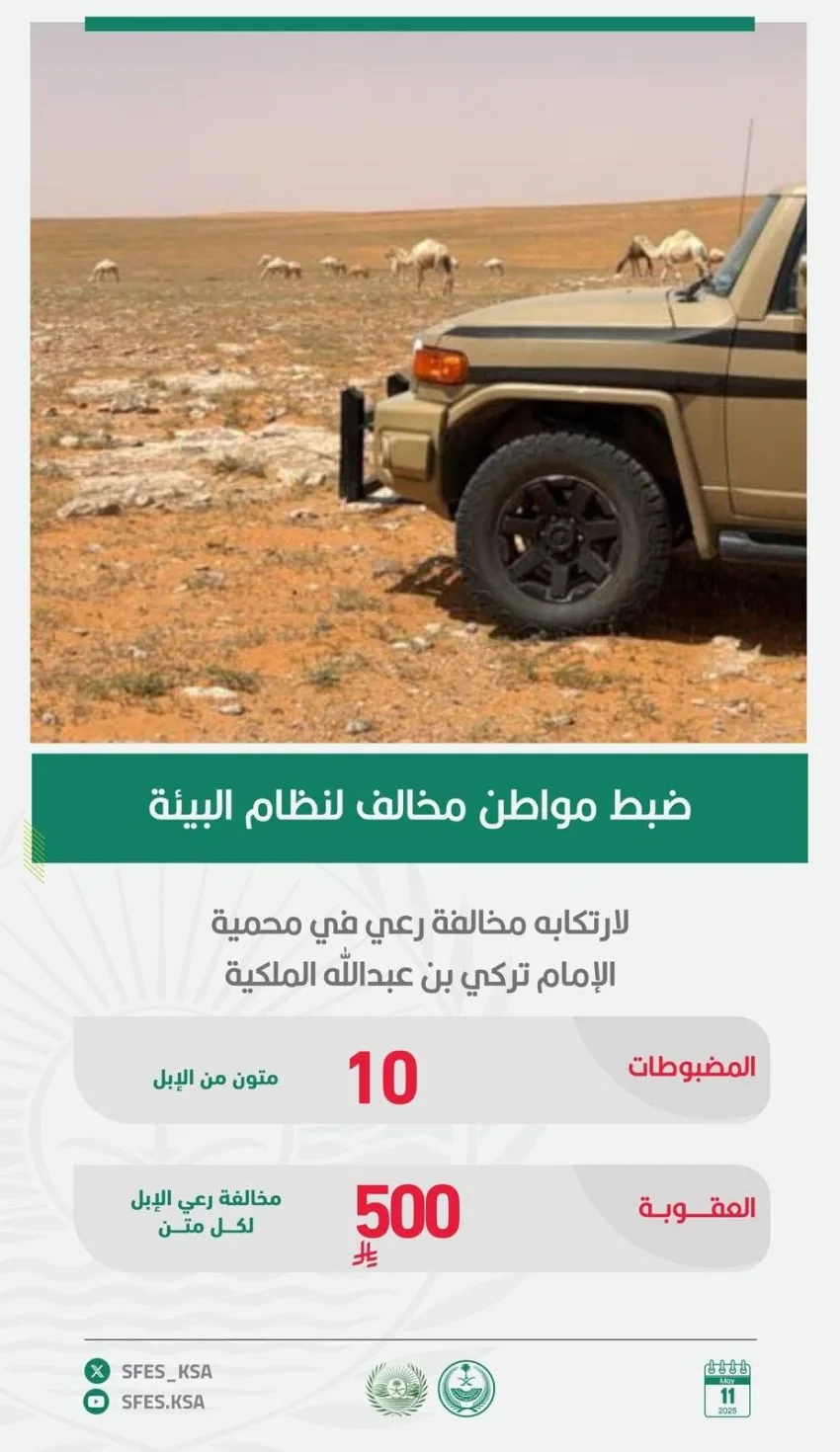 إلقاء القبض على مواطن خالف قواعد البيئة بالرعي في منطقة ممنوعة إلقاء القبض على مواطن خالف قواعد البيئة بالرعي في منطقة ممنوعة