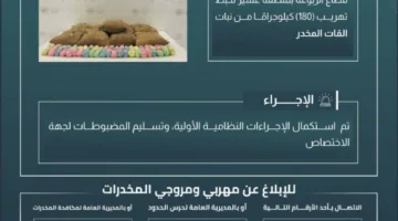 إيقاف محاولة تهريب 180 كجم من القات في الربوعة