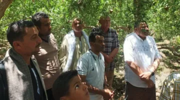 اجتماعات منتظمة مع مزارعي الرمان في أسيوط لمناقشة التحديات وتعزيز القطاع الزراعي