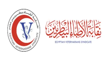 احتفال “البيطريين”: وزارة الزراعة تكشف عن تعيين 4000 طبيب بيطري قريبًا لدعم خطط الدولة في مجال الثروة الحيوانية.