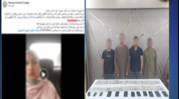 «احنا خدمة العملاء».. ضبط المتهم بالنصب على سيدة من ذوي الاحتياجات الخاصة