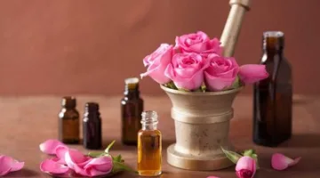 ارتفاع إنتاج الورد العطري في بورزازات إلى أكثر من 4.800 طن خلال الموسم الفلاحي الحالي