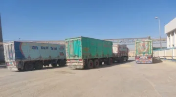 ارتفاع كميات القمح المحلي الموردة للشون والصوامع بمراكز أسيوط لتصل إلى 89 ألف طن