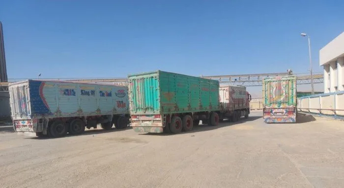 ارتفاع كميات القمح المحلي الموردة للشون والصوامع بمراكز أسيوط لتصل إلى 89 ألف طن ارتفاع كميات القمح المحلي الموردة للشون والصوامع بمراكز أسيوط لتصل إلى 89 ألف طن