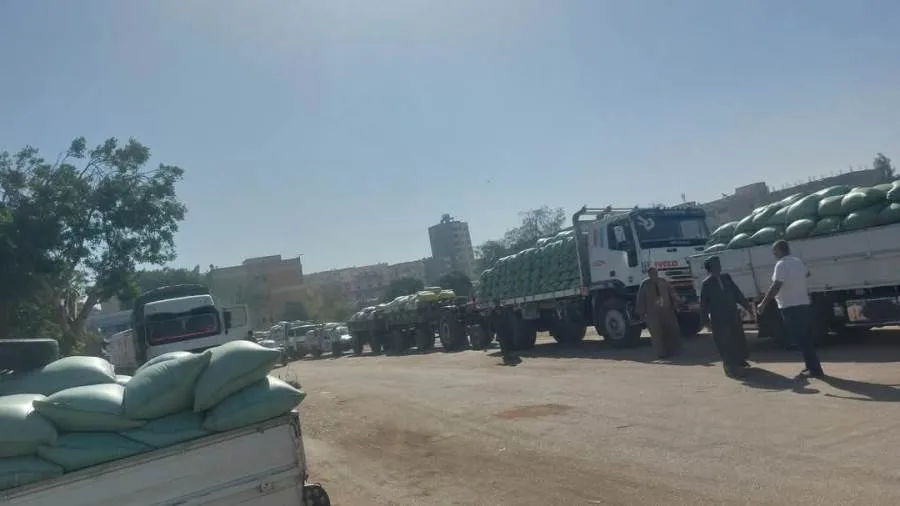 ارتفاع كميات القمح المحلي الموردة للشون والصوامع بمراكز أسيوط لـ89 ألف طن ارتفاع كميات القمح المحلي الموردة للشون والصوامع بمراكز أسيوط لـ89 ألف طن