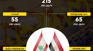 استكشف أهم المنتجات التي تستوردها مصر من لبنان في عام 2024 | إنفوجراف