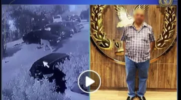اعتداء وحشي: القبض على شخص باستخدام عصا لقتل كلب في النزهة
