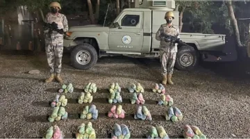 اعتقال فرد بتهمة ترويج الميثامفيتامين وضبط 150 كيلوغرامًا من القات في منطقتي جازان والشرقية