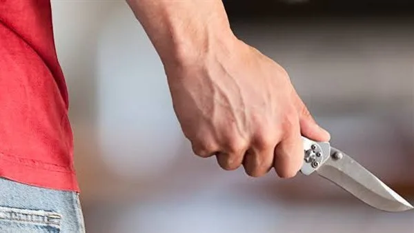 اعتقال مدير مزرعة بتهمة قتل عامل خلال شجار في الشيخ زايد اعتقال مدير مزرعة بتهمة قتل عامل خلال شجار في الشيخ زايد