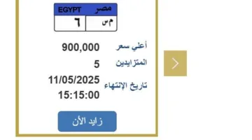 «اقترب سعرها من المليون».. مزايدة نارية على لوحة سيارة مميزة
