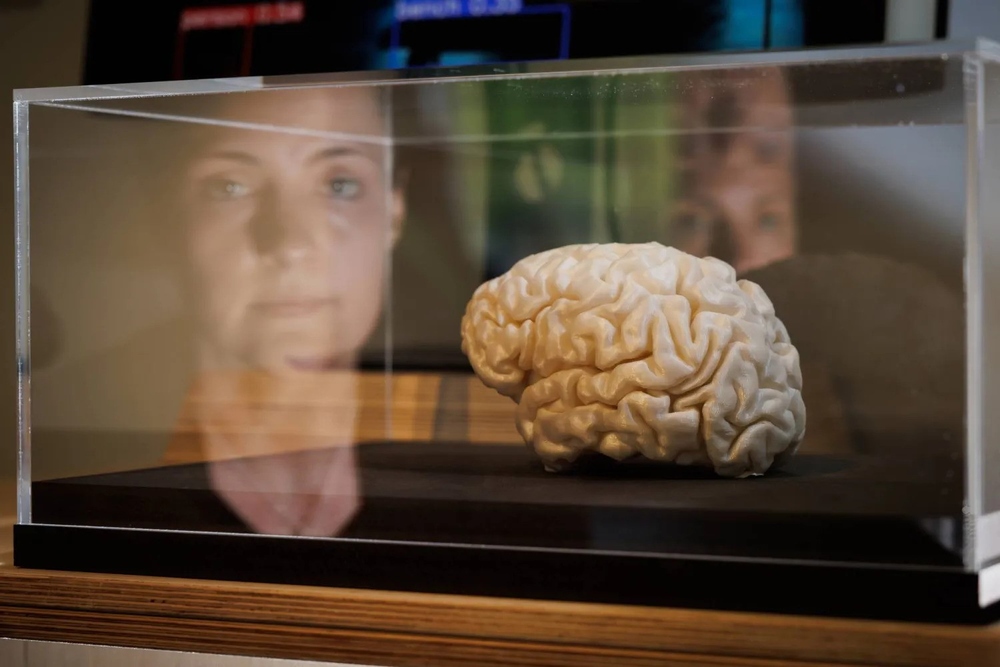 اكتشافُ المنطقة المسؤولة عن الوعي في الدماغ اكتشافُ المنطقة المسؤولة عن الوعي في الدماغ